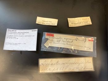 Media type: image; Invertebrate Zoology AST-41   Description: label;